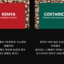 만랩커피원주태장점