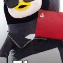 디딤돌결혼정보 이미지