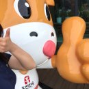 홍천로_5 이미지