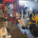 익사이팅 펀치 짐 이미지