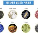 별하GT금오도장 이미지