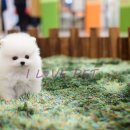 몽몽이하우스 인천연수점 이미지