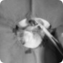 베스트 종합 동물병원 이미지