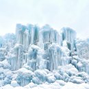 알프스마을영농조합법인 이미지