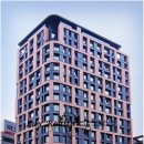 라테라스 이미지