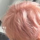 (주)라이프에이치 | 핑크 애쉬핑크 베이비핑크💕핑크염색 성지 - 산본 에이치살롱 H:salon 염색추천 퇴색과정 퇴색 후 컬러