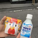 우당탕탕 도쿄 🗼📝 (2)