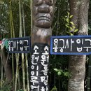 가을여행 | 부산 기장 가을 여행 해동용궁사 부산절 후기