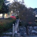 삼산양계장 이미지