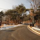 미숭산자연휴양림 이미지