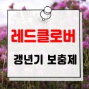 레드클로버 | 레드클로버 효능 블랙코호시 갱년기 보조제 비교 레드클로버 추출물 복용법과 복용 시기