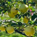 튼튼농장 이미지