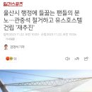 울산시 행정에 들끓는 팬들의 분노…관중석 철거하고 유스호스텔 건립 '재추진' 이미지