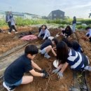 정남면 행정복지센터 이미지