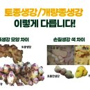 거시기마트 - 전주시완산구 남노송동 | 거시기마트