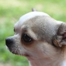 와와멍# 이미지