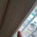 일성트루엘더퍼스트 이미지