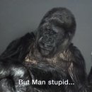 코코와사람들 이미지