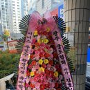이너스스포츠센터킹덤주짓수 | 광주 전국가대표가 지도하는 주짓수 체육관 이너스주짓수 (킹덤)이너스스포츠센터
