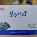 영풍농장 이미지