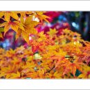 마곡사3 이미지