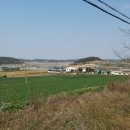 무안군청 이미지