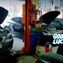 바디카클리닉 이미지