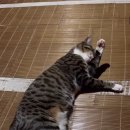 소양참숯찜질방 이미지