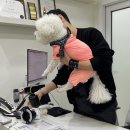 산들동물병원 | 7/4 오복동물치과병원 치아검진 - 강아지 스케일링, 잇몸 염증, 치은종, 검사 비용