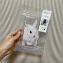 댓츠어포인트 토끼 케이스 rabbit case 후기
