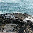 양남주상절리 이미지