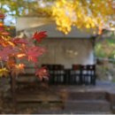 리아트파크청평원 이미지