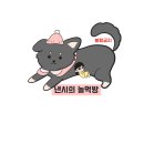 킴스코파쎄 세면수전 KFL150 샤워수전 KB150 셀프교체