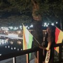 투개더 펫 이미지