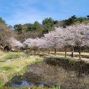 화동못 수변공원 이미지