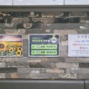 백진안마원 이미지