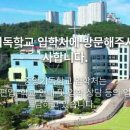 중앙기독초 이미지