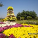 범과같이 이미지