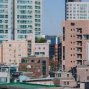 H2153 티스토리