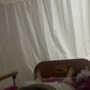 시에스코 | [응급 제왕절개 수술 회복 후기 1] 출산일 당일 통증,페인부스터,가스, 무통주사, 부종, 압박스타킹, 물