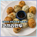 코끼리식품 | 코끼리만두택배 김치 고기 종류별로 먹어본 후기