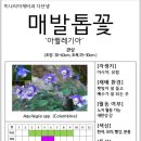 흙과씨앗 이미지