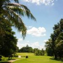 K.C.C. 골프클럽 이미지