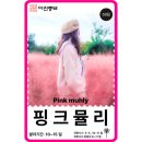 기쁜몰 | 집에서 즐기는 분홍빛 물결 핑크뮬리 씨앗 50립 꽃씨몰에서 내돈내산 구매한 후기