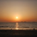 동호농장 네이버블로그