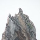 서해로 주변 이미지