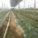 선농발효(주) 이미지