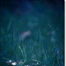 서울윈치과의원 이미지