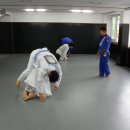 라텔 Daum카페