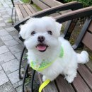 더올(The all) | [방탈출006] 방린이 드림이스케이프 건대점 <올 더 박스 파라다이스(All the box paradise)> 후기